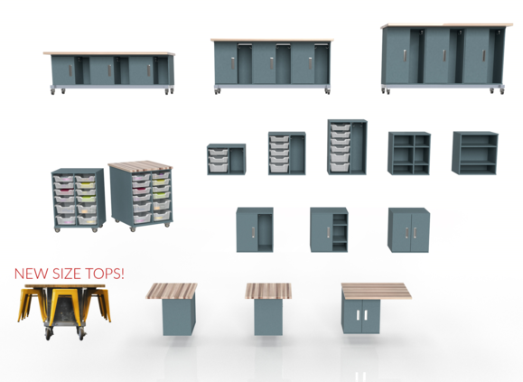 Chameleon Classroom System Image